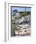 The Harbour, Polperro, Cornwall, England, United Kingdom, Europe-David Clapp-Framed Photographic Print