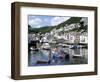 The Harbour, Polperro, Cornwall, England, United Kingdom-Rob Cousins-Framed Photographic Print