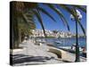 The Harbour, Sitia, Lasithi Region, Crete, Greek Islands, Greece, Europe-Stuart Black-Stretched Canvas