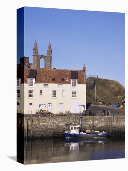 The Harbour, St. Andrews, Fife, Scotland, United Kingdom-Michael Jenner-Stretched Canvas