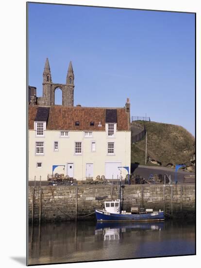 The Harbour, St. Andrews, Fife, Scotland, United Kingdom-Michael Jenner-Mounted Photographic Print
