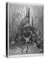 The Hare and the Frogs, from 'The Fables' of La Fontaine, Engraved by Stephane Pannemaker…-Gustave Doré-Stretched Canvas