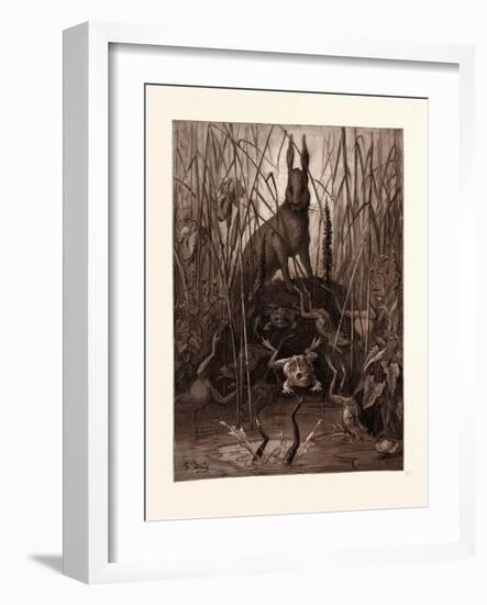 The Hare and the Frogs-Gustave Dore-Framed Giclee Print