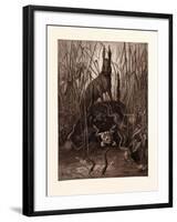 The Hare and the Frogs-Gustave Dore-Framed Giclee Print