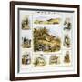 The Hare and the Rabbit, C1850-Benjamin Waterhouse Hawkins-Framed Giclee Print