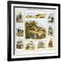 The Hare and the Rabbit, C1850-Benjamin Waterhouse Hawkins-Framed Giclee Print