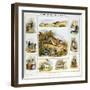 The Hare and the Rabbit, C1850-Benjamin Waterhouse Hawkins-Framed Giclee Print