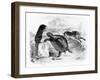 The Hare and the Tortoise, Illustration for 'Fables' of La Fontaine, Published by H. Fournier…-J.J. Grandville-Framed Giclee Print