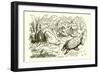 The Hare and the Tortoise-Ernest Henry Griset-Framed Giclee Print