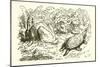The Hare and the Tortoise-Ernest Henry Griset-Mounted Giclee Print