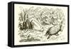 The Hare and the Tortoise-Ernest Henry Griset-Framed Stretched Canvas