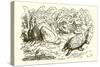 The Hare and the Tortoise-Ernest Henry Griset-Stretched Canvas