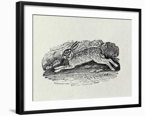 The Hare from 'History of British Birds and Quadrupeds' (Engraving)-Thomas Bewick-Framed Giclee Print