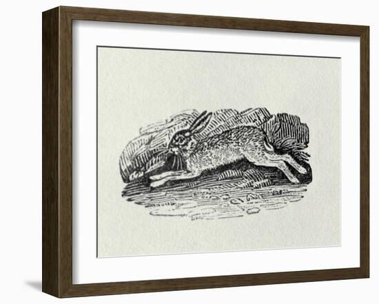The Hare from 'History of British Birds and Quadrupeds' (Engraving)-Thomas Bewick-Framed Giclee Print