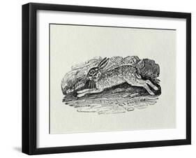 The Hare from 'History of British Birds and Quadrupeds' (Engraving)-Thomas Bewick-Framed Giclee Print