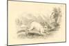 The Hare (Lepus Europaeu), 1828-null-Mounted Giclee Print