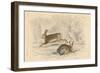 The Hare (Lepus Europaeu), 1828-null-Framed Giclee Print