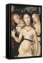 The Harmony Or, the Three Graces-Hans Baldung Grien-Framed Stretched Canvas