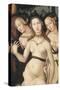 The Harmony Or, the Three Graces-Hans Baldung Grien-Stretched Canvas