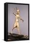 The Harpooner, from the Treasures of Tutankhamun, 1340 BC-null-Framed Stretched Canvas