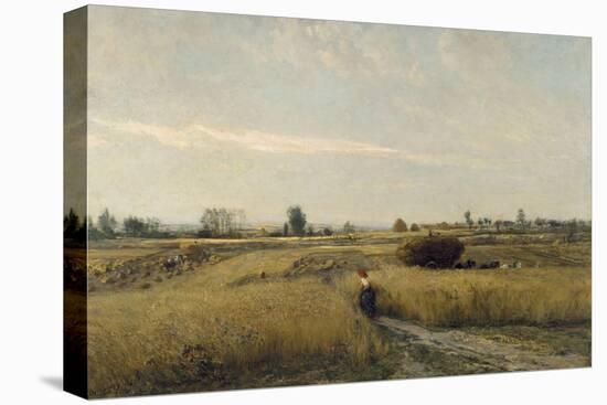 The Harvest, 1851-Charles-François Daubigny-Stretched Canvas