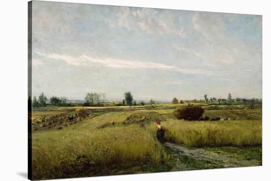 The Harvest, 1851-Charles-Francois Daubigny-Stretched Canvas