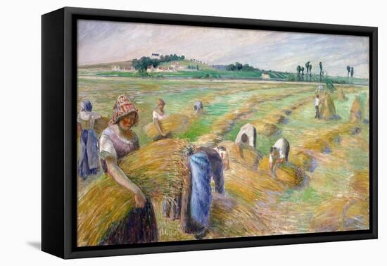 The Harvest, 1882-Camille Pissarro-Framed Stretched Canvas