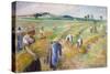 The Harvest, 1882-Camille Pissarro-Stretched Canvas