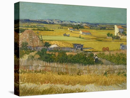 The Harvest. Arles, June 1888-Vincent van Gogh-Stretched Canvas