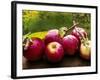 The Harvest I-Rachel Perry-Framed Photographic Print