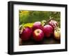 The Harvest I-Rachel Perry-Framed Photographic Print