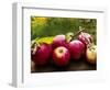 The Harvest I-Rachel Perry-Framed Photographic Print