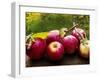 The Harvest I-Rachel Perry-Framed Photographic Print