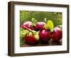 The Harvest II-Rachel Perry-Framed Photographic Print