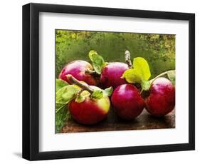 The Harvest II-Rachel Perry-Framed Photographic Print