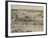 The Harvest in Provence (For Émile Bernar), 1888-Vincent van Gogh-Framed Giclee Print