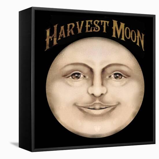The Harvest Moon-Vintage Apple Collection-Framed Stretched Canvas