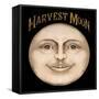 The Harvest Moon-Vintage Apple Collection-Framed Stretched Canvas