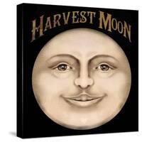 The Harvest Moon-Vintage Apple Collection-Stretched Canvas