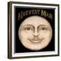 The Harvest Moon-Vintage Apple Collection-Framed Giclee Print