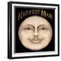 The Harvest Moon-Vintage Apple Collection-Framed Giclee Print