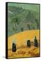 The Harvest (Oil on Canvas)-Paul Serusier-Framed Stretched Canvas