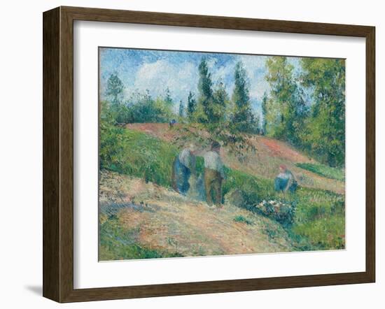 The Harvest, Pontoise, 1880-Camille Pissarro-Framed Giclee Print