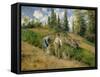 The Harvest, Pontoise, 1881-Camille Pissarro-Framed Stretched Canvas