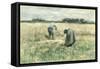 The Harvest-Anton Mauve-Framed Stretched Canvas