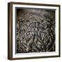 The 'Harvester's Vase' from Crete, 16th century-Unknown-Framed Giclee Print