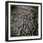 The 'Harvester's Vase' from Crete, 16th century-Unknown-Framed Giclee Print