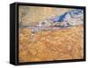 The Harvester-Vincent van Gogh-Framed Stretched Canvas