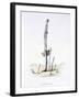 The Hasty Asparagus, from 'L'Empire Des Legumes, Memoires De Curcurbitus'-Amedee Varin-Framed Giclee Print