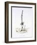 The Hasty Asparagus, from 'L'Empire Des Legumes, Memoires De Curcurbitus'-Amedee Varin-Framed Premium Giclee Print